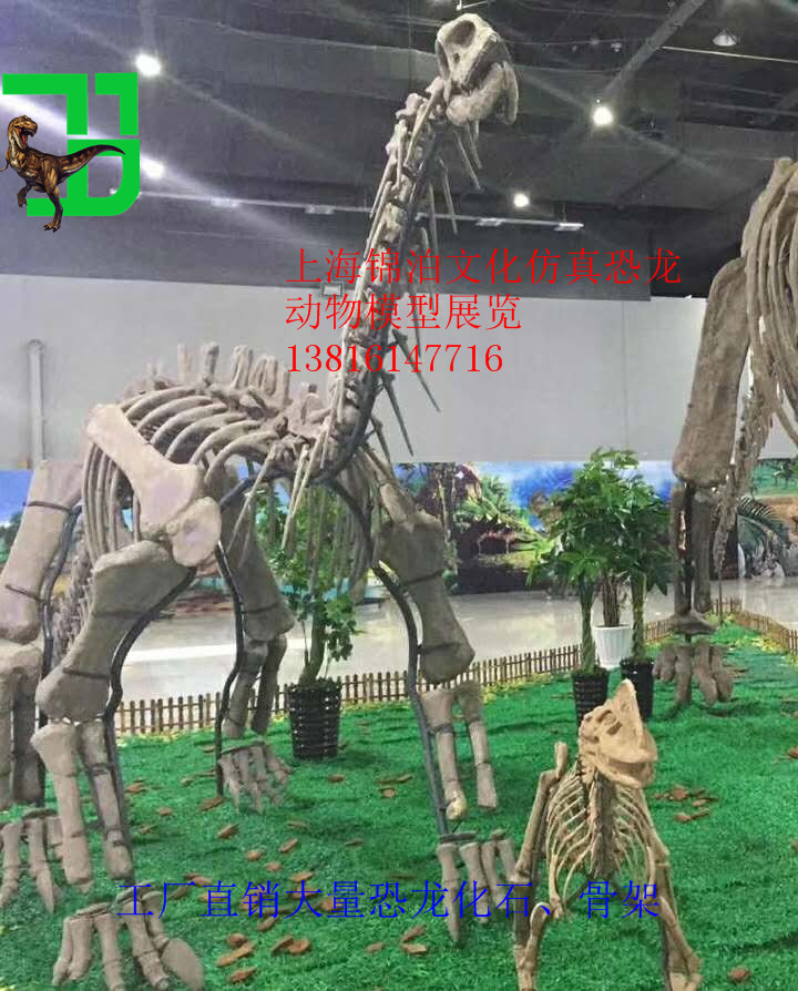 大型恐龙化石骨架图片赏析