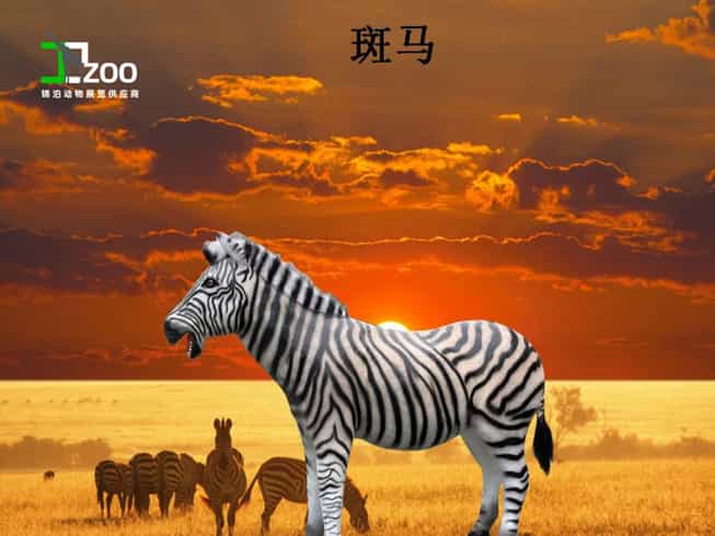 WB稳定土拌合站